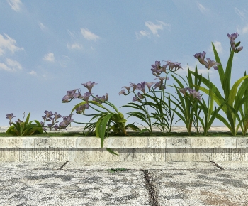 Modern Flowers And Grass-ID:867571124