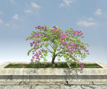 Modern Tree-ID:352874996