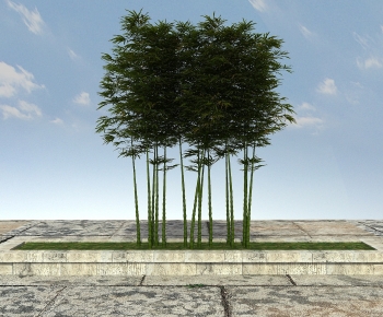 Modern Bamboo-ID:875101096