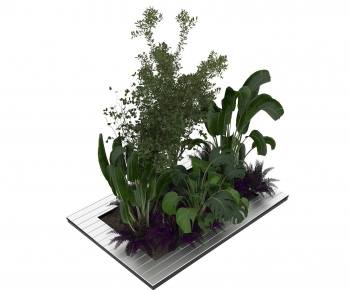 Modern Plant Pile-ID:190763958