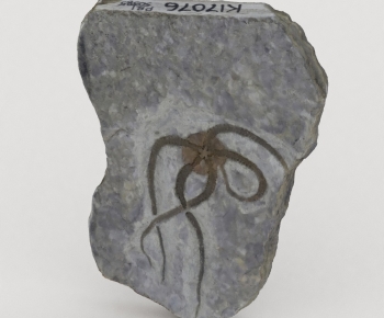 Modern Stone-ID:108367924