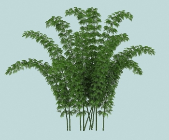 Modern Bamboo-ID:887010102