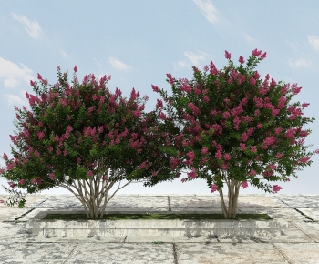 Modern Tree-ID:401014096