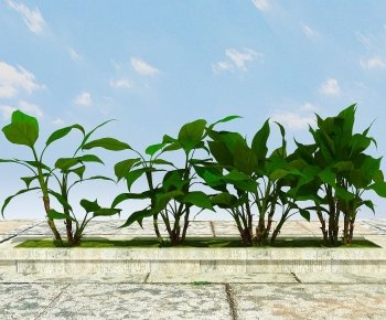 Modern Plant-ID:225651036