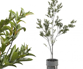 Modern Ground Green Plant Potted Plants-ID:987252956
