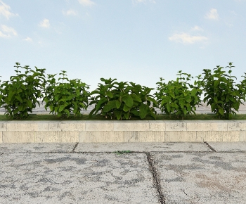 Modern Flowers And Grass-ID:599744084