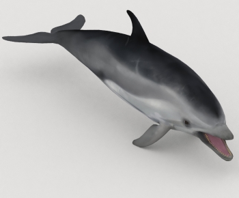 Modern Aquatic Animals-ID:734342104