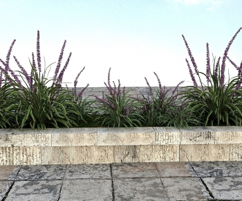 Modern Flowers And Grass-ID:128554111