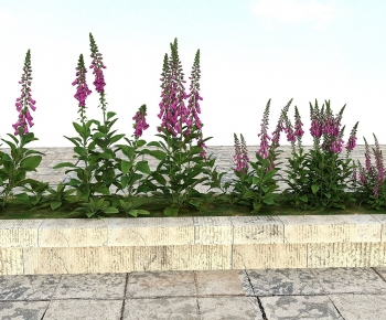 Modern Flowers And Grass-ID:872698078