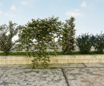 Modern Shrubbery-ID:148680227