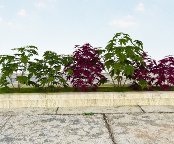 Modern Plant-ID:858242995