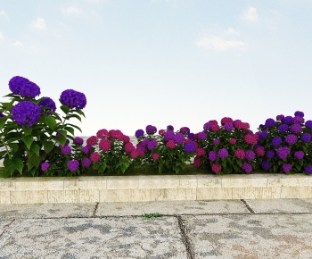 Modern Flowers And Grass-ID:686523915