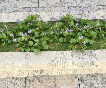 Modern Flowers And Grass-ID:270509962