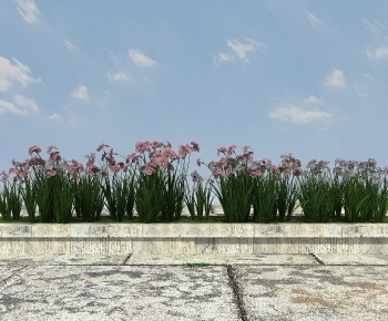 Modern Flowers And Grass-ID:427948954