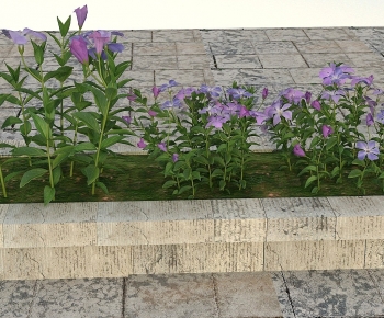 Modern Flowers And Grass-ID:716726063