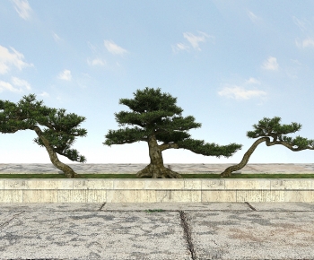 Modern Tree-ID:823415998