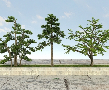 Modern Tree-ID:252898939