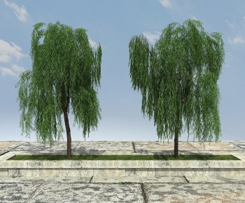 Modern Tree-ID:557207119