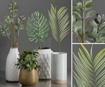 Modern Ground Green Plant Potted Plants-ID:449314128