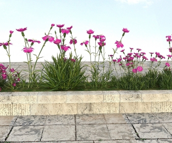 Modern Flowers And Grass-ID:307137018