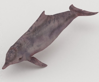 Modern Aquatic Animals-ID:943880088