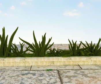 Modern Plant-ID:349138024