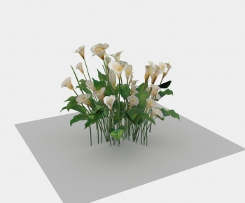 Modern Flowers And Grass-ID:998936898