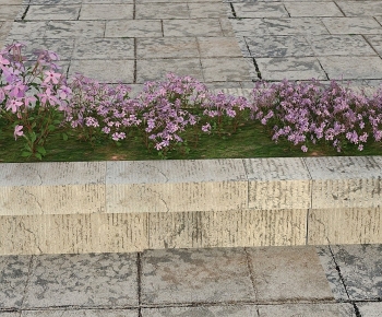 Modern Flowers And Grass-ID:851351022