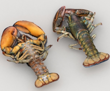 Modern Aquatic Product-ID:512089971