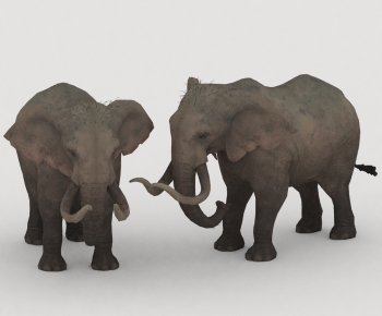 Modern Mammal-ID:263226034