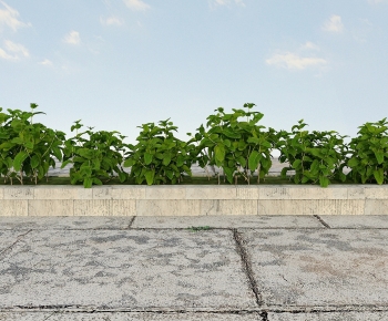 Modern Flowers And Grass-ID:382038128