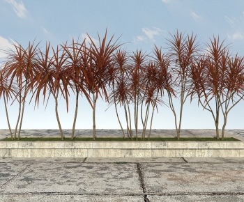 Modern Tree-ID:284853947