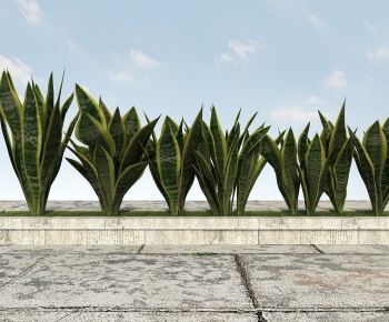 Modern Plant-ID:149159913