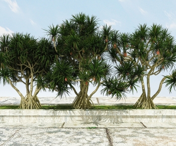 Modern Tree-ID:662205931