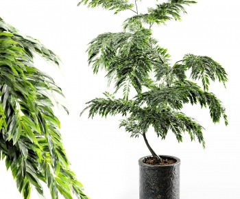 现代落地绿植盆栽-ID:347385886