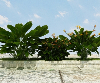 Modern Flowers And Grass-ID:292326933