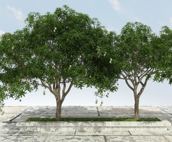 Modern Tree-ID:522722965