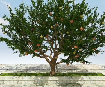 Modern Tree-ID:119779173