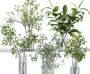 Modern Aquatic Green Plant-ID:821358928