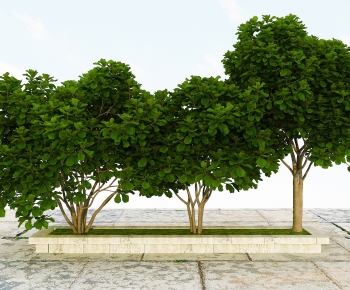 Modern Tree-ID:698324921