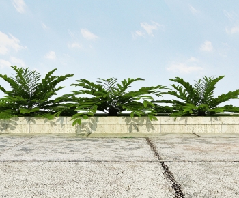 Modern Plant-ID:590364937