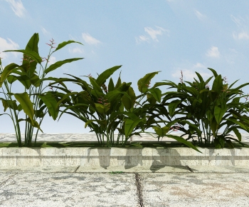 Modern Flowers And Grass-ID:761425023