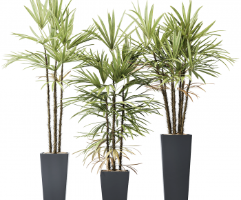 Modern Ground Green Plant Potted Plants-ID:966758971