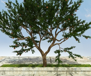 Modern Tree-ID:460436114