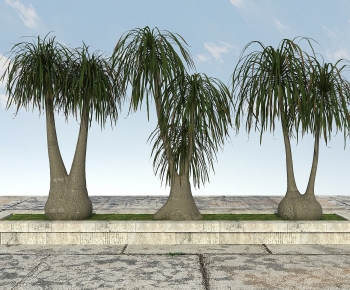 Modern Tree-ID:966029884