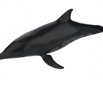 Modern Aquatic Animals-ID:321989064