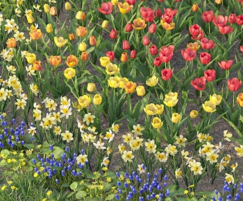 现代花卉组合-ID:361800916