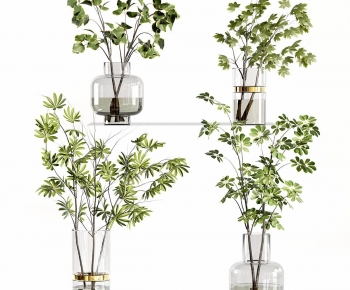 Modern Aquatic Green Plant-ID:984848986