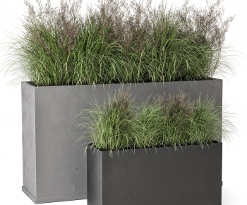 Modern Flower Bed, Flower Bowl, Flower Box-ID:356439116