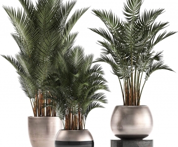 现代落地绿植盆栽组合-ID:702894933